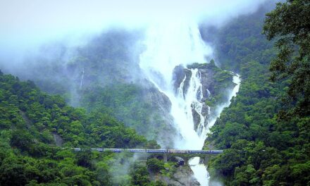 ದೂಧಸಾಗರ ಟ್ರೆಕ್ಕಿಂಗ್‍ಗಾಗಿ ಆನ್‍ಲೈನ್ ನೋಂದಣಿ ಖಡ್ಡಾಯ…!
