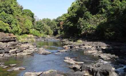 ಮಹದಾಯಿ ನ್ಯಾಯಾಧೀಕರಣದ ಅವಧಿ 6 ತಿಂಗಳು ವಿಸ್ತರಣೆ