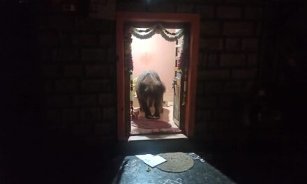 ಅರಣ್ಯ ಇಲಾಖೆಯ ಸಿಬ್ಬಂದಿ ವರ್ತನೆಗೆ ಗ್ರಾಮಸ್ಥರ ಆಕ್ರೋಶ