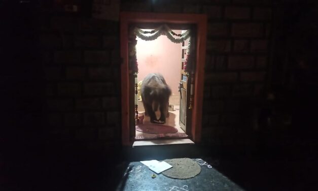 ಅರಣ್ಯ ಇಲಾಖೆಯ ಸಿಬ್ಬಂದಿ ವರ್ತನೆಗೆ ಗ್ರಾಮಸ್ಥರ ಆಕ್ರೋಶ