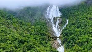 ದೂಧಸಾಗರ: ವೆಬ್ ಸೈಟ್ ದುರ್ಬಳಕೆಯಿಂದ ಸುಮಾರು 8 ಕೋಟಿ ರೂ.ಗಳ ಹಗರಣ