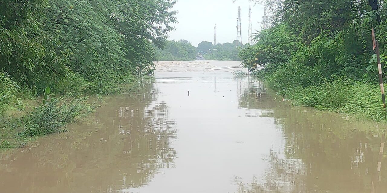 ಧಾರಾಕಾರ ಮಳೆಗೆ ಕಾಗಿಣಾ ನದಿ ಸೇತುವೆ ಮುಳುಗಡೆ