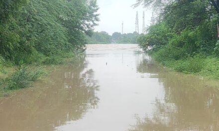 ಧಾರಾಕಾರ ಮಳೆಗೆ ಕಾಗಿಣಾ ನದಿ ಸೇತುವೆ ಮುಳುಗಡೆ