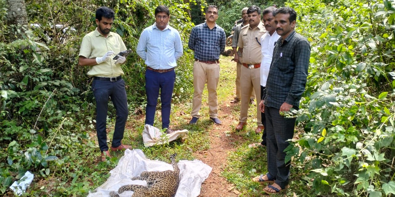 ಬಾವಿಗೆ ಬಿದ್ದು ಚಿರತೆ ಸಾವು