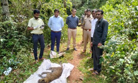 ಬಾವಿಗೆ ಬಿದ್ದು ಚಿರತೆ ಸಾವು