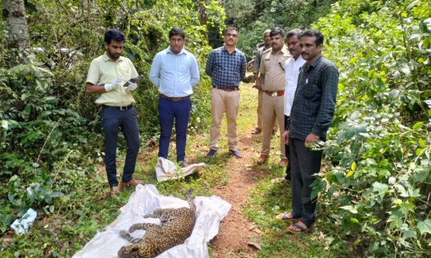ಬಾವಿಗೆ ಬಿದ್ದು ಚಿರತೆ ಸಾವು