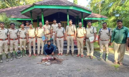 ವಾಸ್ತವ್ಯದ ಮನೆ ಒಳಗೆ ಜಿಂಕೆ ಮಾಂಸ ಸಂಗ್ರಹ