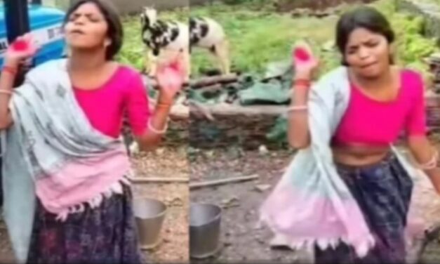 ಸಾಲ ವಸೂಲಿಗೆ ಬಂದಾಗ ಏನಾಯ್ತು ನೋಡಿ…ಬೆಚ್ಚಿಬೀಳುತ್ತೀರಾ…!