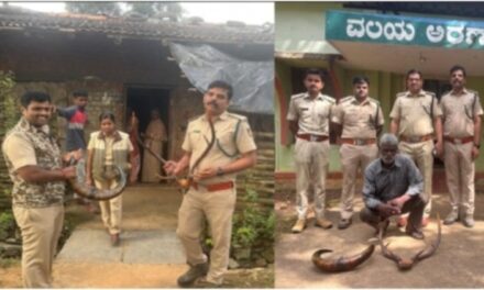 ಮನೆಯಲ್ಲಿ ವನ್ಯ ಪ್ರಾಣಿಗಳ ಅವಶೇಷ ಪತ್ತೆ ದಾಂಡೇಲಿಯಲ್ಲಿ ಆರೋಪಿ ಬಂಧನ