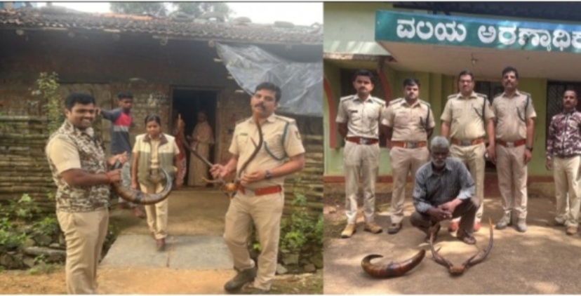 ಮನೆಯಲ್ಲಿ ವನ್ಯ ಪ್ರಾಣಿಗಳ ಅವಶೇಷ ಪತ್ತೆ ದಾಂಡೇಲಿಯಲ್ಲಿ ಆರೋಪಿ ಬಂಧನ