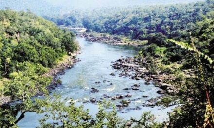ಗೋವಾ ಸರ್ಕಾರ ಮಹದಾಯಿ ನದಿಯನ್ನು ಕರ್ನಾಟಕಕ್ಕೆ ಮಾರಾಟ ಮಾಡಿದೆ-ಯೂರಿ ಅಲೆಮಾಂವ