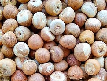 ಉತ್ತರ ಕನ್ನಡದ ಅಡಿಕೆ ಧಾರಣೆ