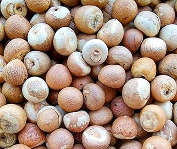 ಉತ್ತರ ಕನ್ನಡದ ಅಡಿಕೆ ಧಾರಣೆ