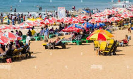 ಪ್ರವಾಸಿಗರಿಗೆ ಆಮಿಷವೊಡ್ಡಿ ಕಾನೂನು ಬಾಹಿರ ಚಟುವಟಿಕೆ ನಡೆಸುತ್ತಿದ್ದ 29 ದಲಾಲಿಗಳ ಬಂಧನ