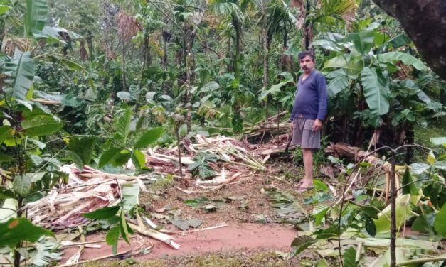 ಮನೆ ಬಾಗಿಲಿಗೆ ಬಂದ ಕಾಡಾನೆ ಚಿಕ್ಕಮಗಳೂರಿನಲ್ಲಿ ಘಟನೆ