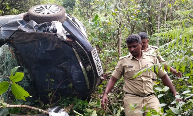 250 ಅಡಿ ಎತ್ತರದಿಂದ ಪ್ರಪಾತಕ್ಕೆ ಬಿದ್ದ ಕಾರು