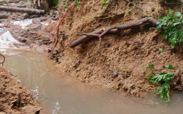 ಯಲ್ಲಾಪುರದ ಬದನೇಪಾಲ್  ತಿಮ್ಮಣ್ಣ ಭಟ್ ರವರ ತೋಟಕ್ಕೆ ಹಾನಿ