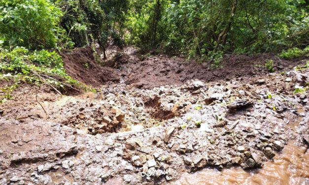 ಮಲೆನಾಡಿನಲ್ಲಿ ಮುಂದುವರೆದ ಮಳೆ: ಒಂದೇ ಗಂಟೆಯಲ್ಲಿ 4 ಇಂಚು ಮಳೆ