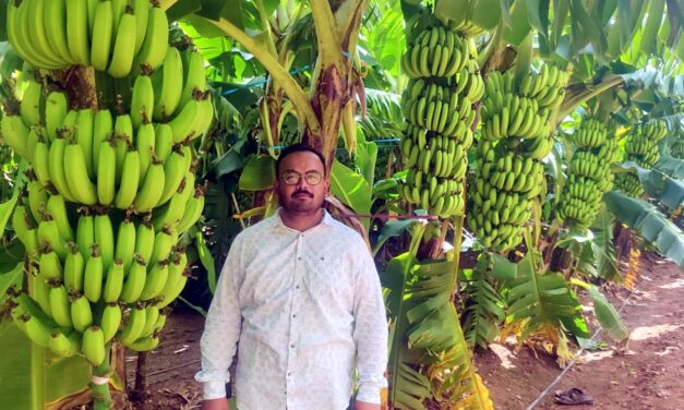 ಜಗದಾಳ ಗ್ರಾಮದ ಬಾಳೆಹಣ್ಣು ಇದೀಗ ಇರಾನ್ ದೇಶಕ್ಕೆ ರಫ್ತು…?