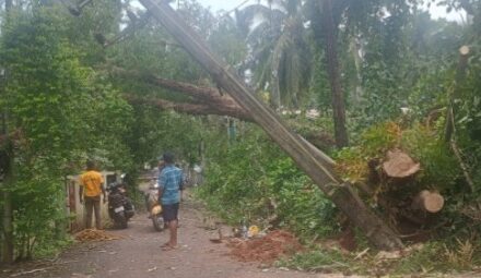 ಗೋವಾದ ಬಾರ್ದೇಸ ತಾಲೂಕಿನಲ್ಲಿ ಭಾರಿ ಮಳೆ