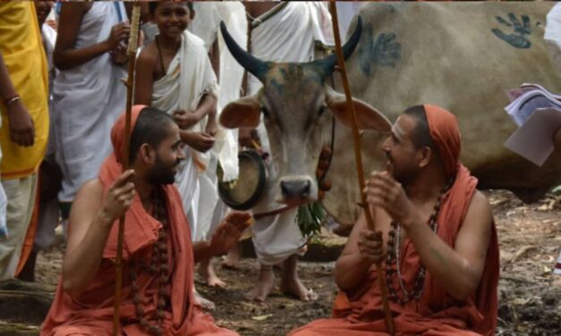 *ದನಬೈಲಿನಲ್ಲಿ ಯತಿದ್ವಯರ ಸಮೀಪ ಬಂದವು ಗೋವುಗಳು!*