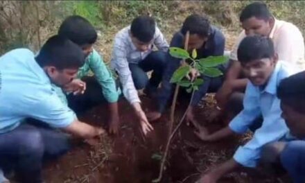 GSA ಕಾರ್ಯಕರ್ತರಿಂದ ಬೆಳಗಾವಿ ಶಾಲೆ ಆವರಣದಲ್ಲಿ ಗಿಡ ನೆಡುವ ಅಭಿಯಾನ