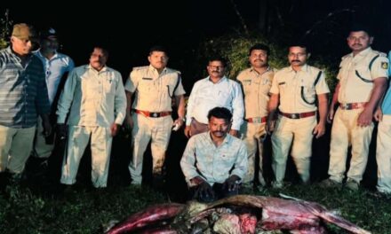 ಜಿಂಕೆ ಬೇಟೆ ಮಾಡಿದ ಆರೋಪಿ ಬಂಧನ