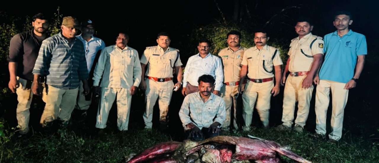 ಜಿಂಕೆ ಬೇಟೆ ಮಾಡಿದ ಆರೋಪಿ ಬಂಧನ