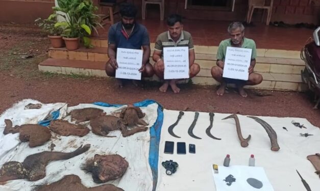 ಕಾಡು ಹಂದಿ ಬೇಟೆ ಮಾಡಿದ ಆರೋಪಿ ಗಳ ಬಂಧನ