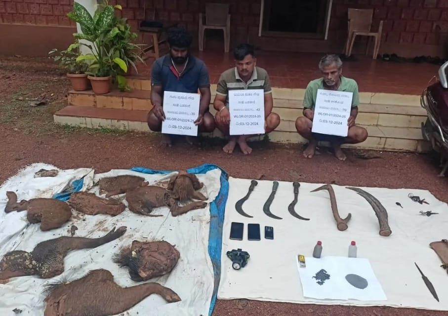 ಕಾಡು ಹಂದಿ ಬೇಟೆ ಮಾಡಿದ ಆರೋಪಿ ಗಳ ಬಂಧನ
