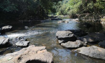ಸುಪ್ರಿಂ ಕೋರ್ಟನಲ್ಲಿ ಮಹದಾಯಿ ವಿಚಾರಣೆ ಮುಂದಕ್ಕೆ