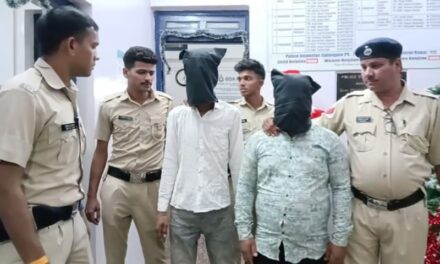 Tourist murder case in Goa, another accused arrested