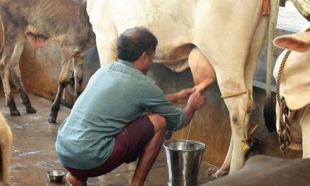 ಯಲ್ಲಾಪುರದಲ್ಲಿ ಹಾಲು ಕರೆಯುವ ಸ್ಫರ್ಧೆ, ಕೂಡಲೆ ಹೆಸರು ನೋಂದಾಯಿಸಿ