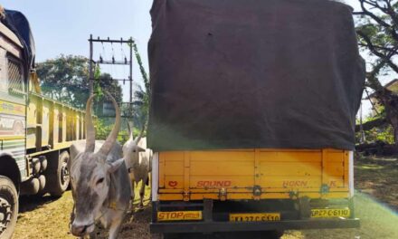ಯಲ್ಲಾಪುರದಲ್ಲಿ  ಅಕ್ರಮ ದನಗಳ ಸಾಗಾಟ ಆರೋಪಿ ಬಂಧನ