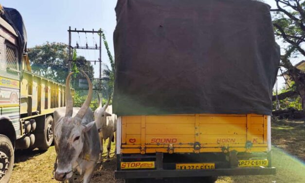 ಯಲ್ಲಾಪುರದಲ್ಲಿ  ಅಕ್ರಮ ದನಗಳ ಸಾಗಾಟ ಆರೋಪಿ ಬಂಧನ