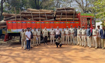 ಶಿರಸಿಯಲ್ಲಿ ಅಕ್ರಮವಾಗಿ ಸಾಗಿಸುತ್ತಿದ್ದ ನಾಟ ವಶ