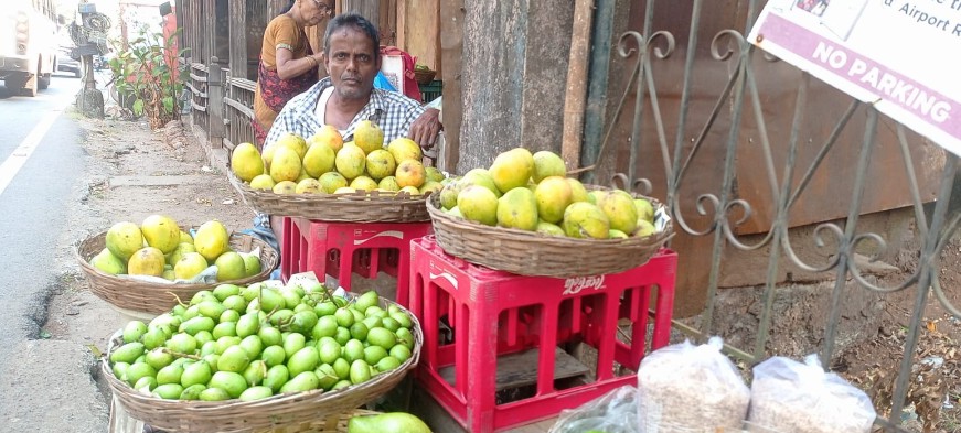 ಗೋವಾದಲ್ಲಿ ಮಾನಕುರಾದ್ ಮಾವಿನ ಹಣ್ಣು  ಡಜನ್‍ ಗೆ5500 ರೂ …!