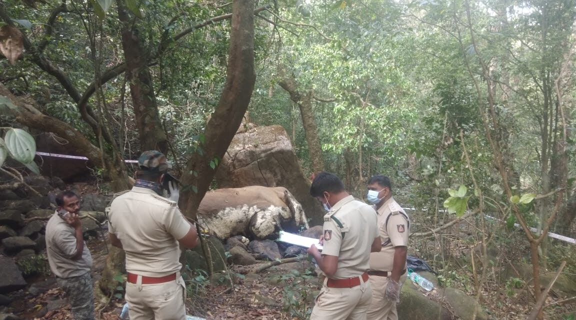 ಒಂಟಿ ಸಲಗವೊಂದು ಅನುಮಾನಾಸ್ಪದವಾಗಿ ಸಾವನ್ನಪ್ಪಿರುವ ಘಟನೆ