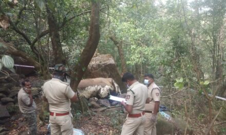 ಒಂಟಿ ಸಲಗವೊಂದು ಅನುಮಾನಾಸ್ಪದವಾಗಿ ಸಾವನ್ನಪ್ಪಿರುವ ಘಟನೆ