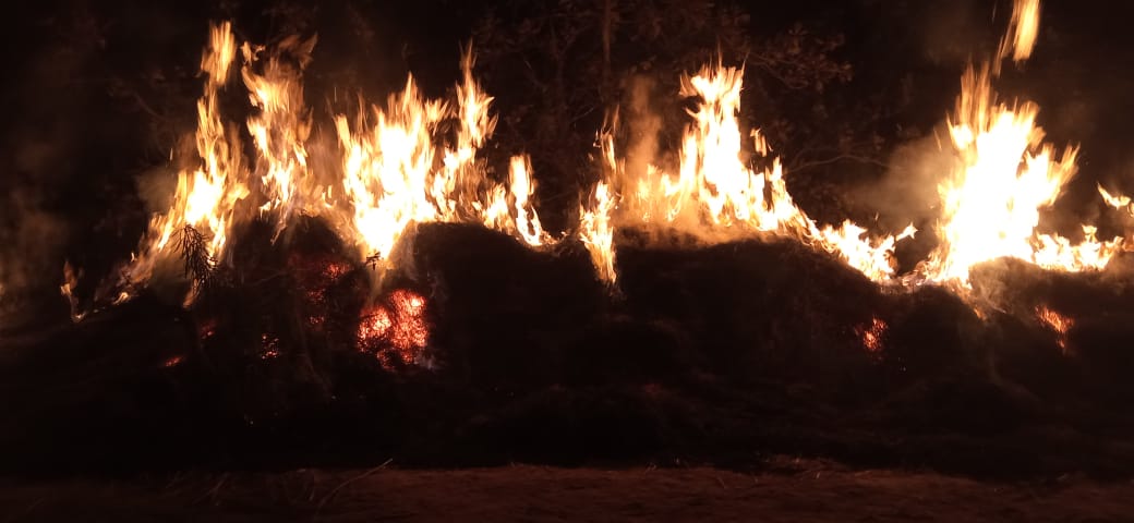 ಯಲ್ಲಾಪುರದಲ್ಲಿ ಹುಲ್ಲಿನ  ಗೊಣವೆಗೆ ಬೆಂಕಿ ಹಾಕಿದ ಘಟನೆ