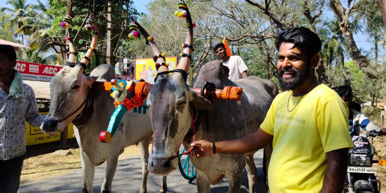 ಶ್ರೀ ಕ್ಷೇತ್ರ ಉಳವಿ ಜಾತ್ರೆಗಾಗಿ ಆಗಮಿಸುತ್ತಿರುವ ಚಕ್ಕಡಿ ಗಾಡಿಗಳು