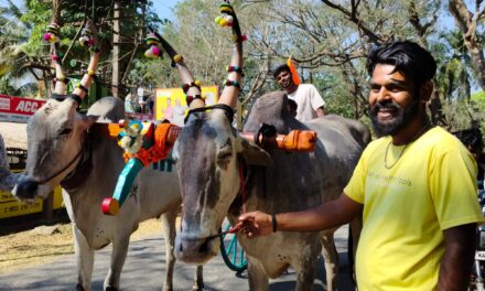 ಶ್ರೀ ಕ್ಷೇತ್ರ ಉಳವಿ ಜಾತ್ರೆಗಾಗಿ ಆಗಮಿಸುತ್ತಿರುವ ಚಕ್ಕಡಿ ಗಾಡಿಗಳು