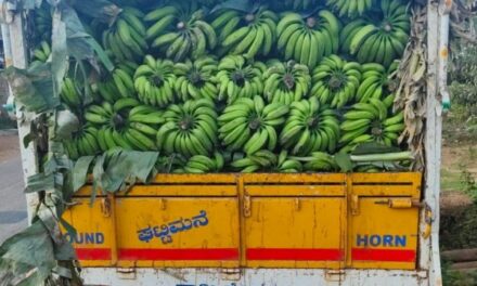 ಯಲ್ಲಾಪುರದ ಬಾಳೆಕಾಯಿ ಗಾಡಿ ಗೋವಾದಲ್ಲಿ ಧರೋಡೆ…?