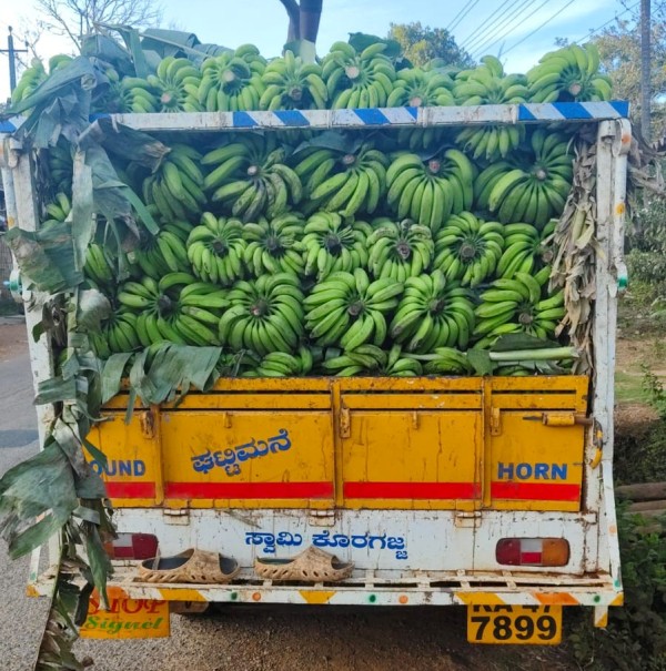 ಯಲ್ಲಾಪುರದ ಬಾಳೆಕಾಯಿ ಗಾಡಿ ಗೋವಾದಲ್ಲಿ ಧರೋಡೆ…?