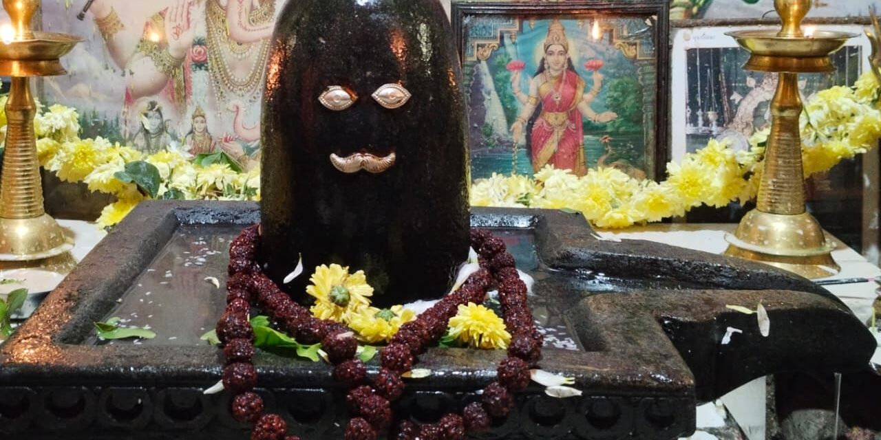 ದಟ್ಟ ಕಾಡಿನೊಳಗಿನ ಶ್ರೀ ಜಂಗಲೇಶ್ವರನ ಸನ್ನಿಧಿಗೆ ಹರಿದು ಬಂದ ಭಕ್ತ ಸಾಗರ