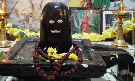ದಟ್ಟ ಕಾಡಿನೊಳಗಿನ ಶ್ರೀ ಜಂಗಲೇಶ್ವರನ ಸನ್ನಿಧಿಗೆ ಹರಿದು ಬಂದ ಭಕ್ತ ಸಾಗರ