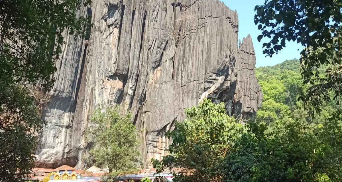ಯಾಣದಲ್ಲಿ ಮಹಾಶಿವರಾತ್ರಿ, ಯಕ್ಷಗಾನ ಪ್ರದರ್ಶನ