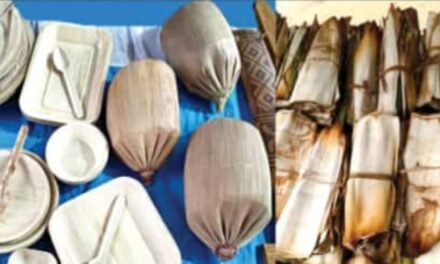 ಅಡಿಕೆ ಹಾಳೆಗೆ ಬೇಡಿಕೆ ಇದೆ, ಸಂಗ್ರಹ ಮಾಡಿಕೊಡುವವರಿಲ್ಲ..!