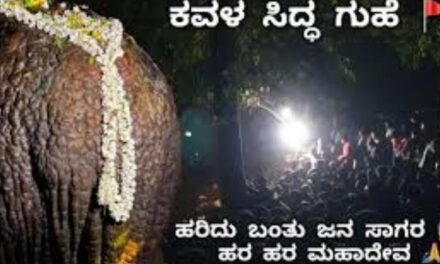 ಕವಳ ಸಿದ್ಧ ಗುಹೆ ದಾಂಡೇಲಿ, ಮಹಾ ಶಿವರಾತ್ರಿ ವಿಶೇಷ
