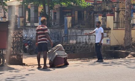 ಅಂಕೋಲಾ ಬಸ್ ನಿಲ್ದಾಣದ ಬಳಿ ಜೇನು ದಾಳಿ ಹಲವರಿಗೆ ಗಾಯ